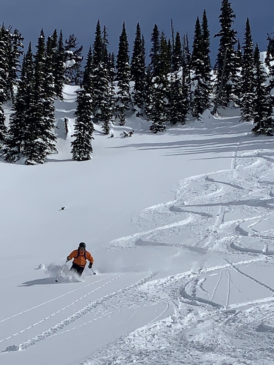 Great Northern Snow-Cat Skiing Ltd photo 3