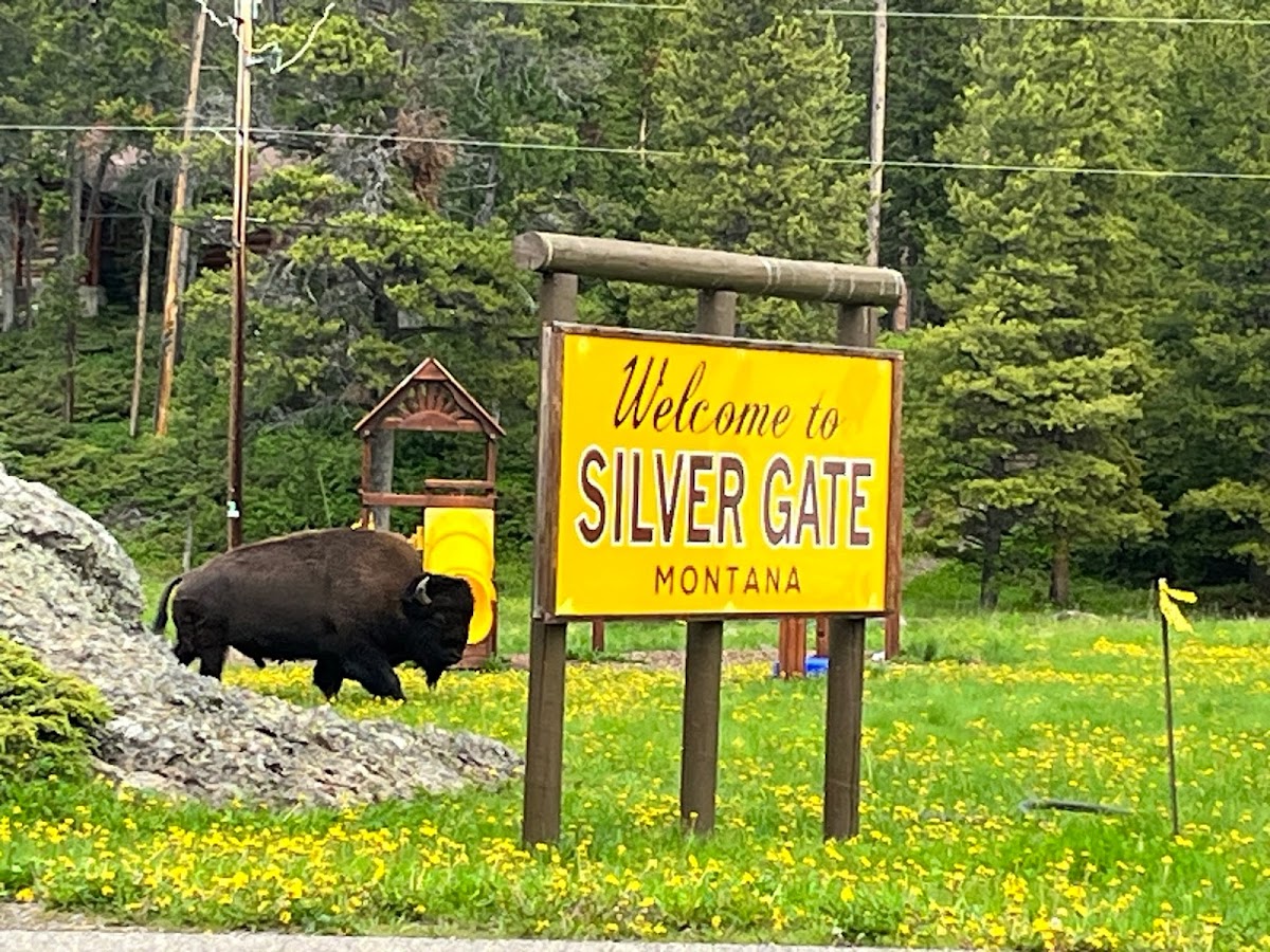Silver Gate Lodging photo 2