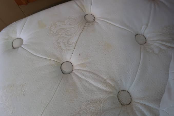 Algonquin Motel photo 3