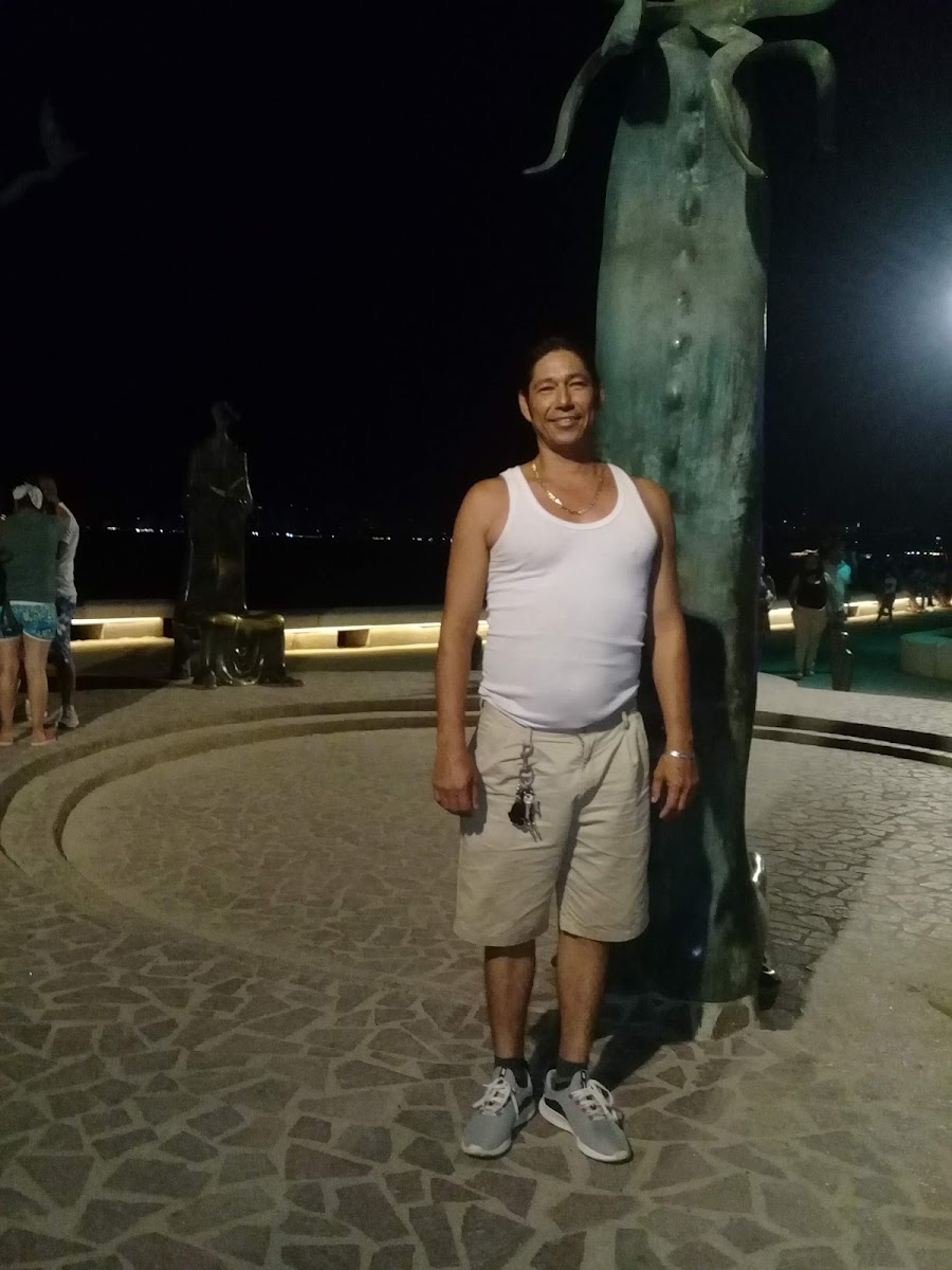 Hotel Parasol Vallarta photo 3