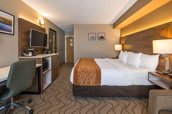 Comfort Inn Lakeshore photo 2