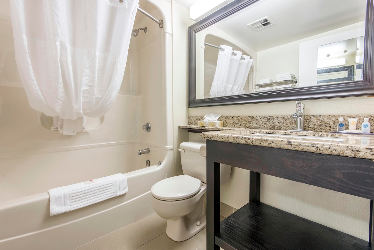 Comfort Inn Lakeshore photo 3