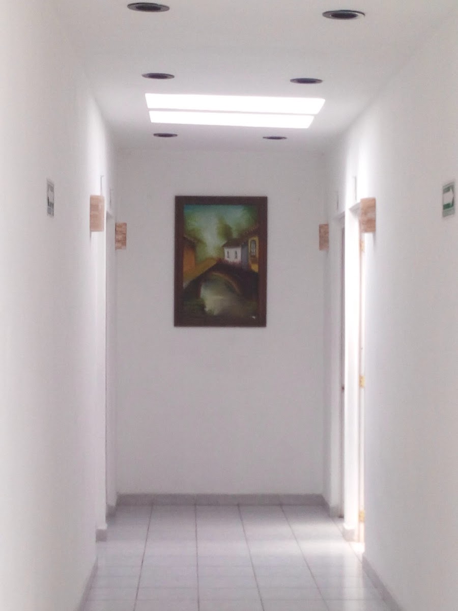 Hotel Libramiento photo 2