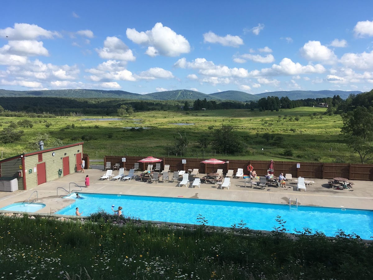 Black Bear Resort photo 3
