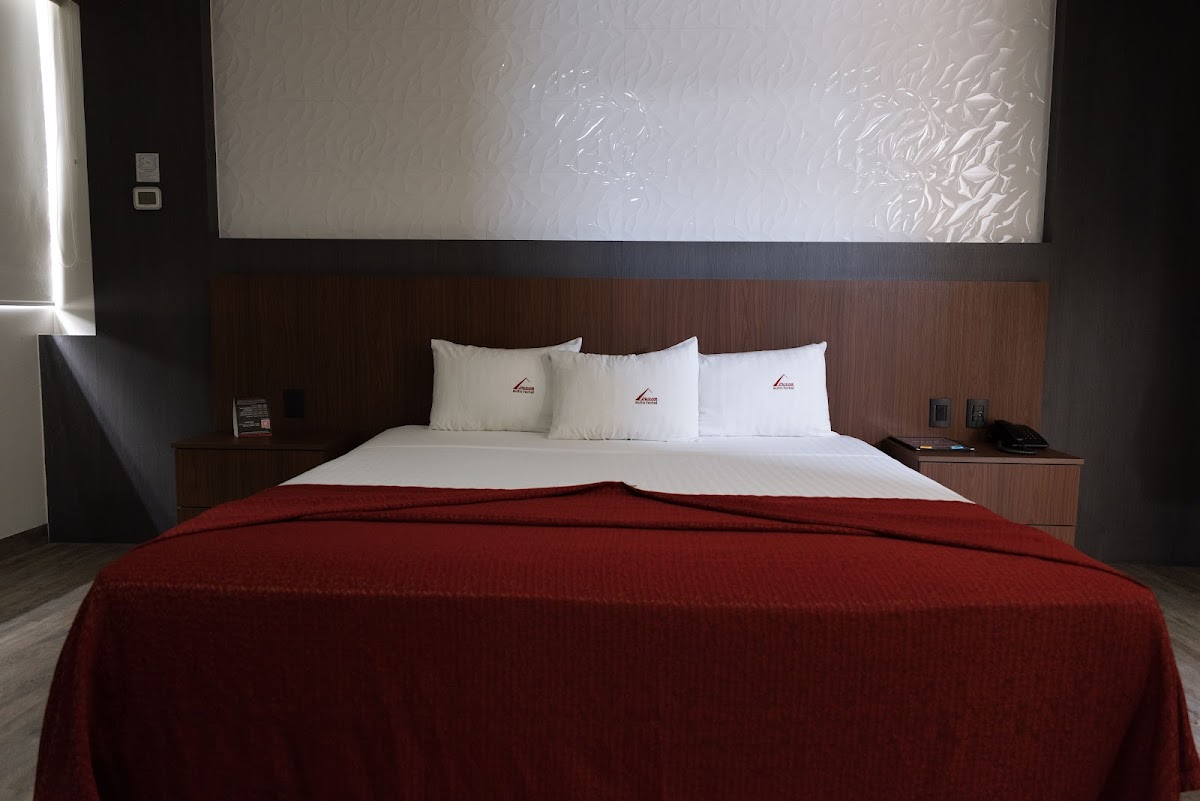 Auto Hotel Luxor photo 2