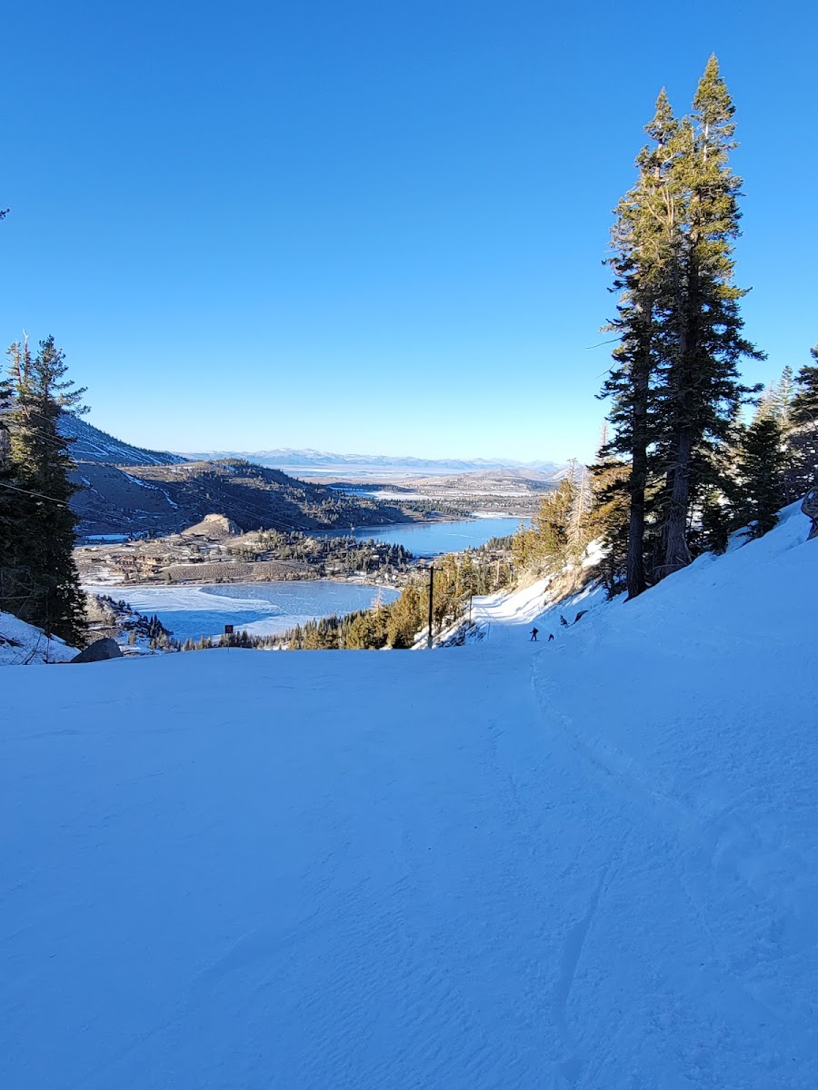 June Mountain Ski Area photo 3