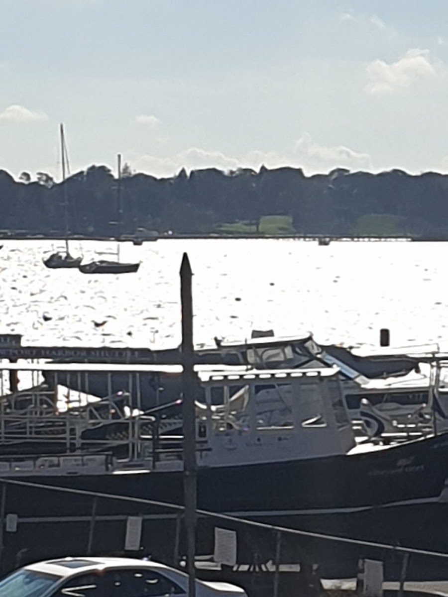 Wyndham Vacation Resorts - Long Wharf photo 3