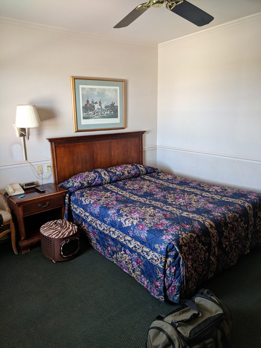 Fort Hancock Motel photo 2