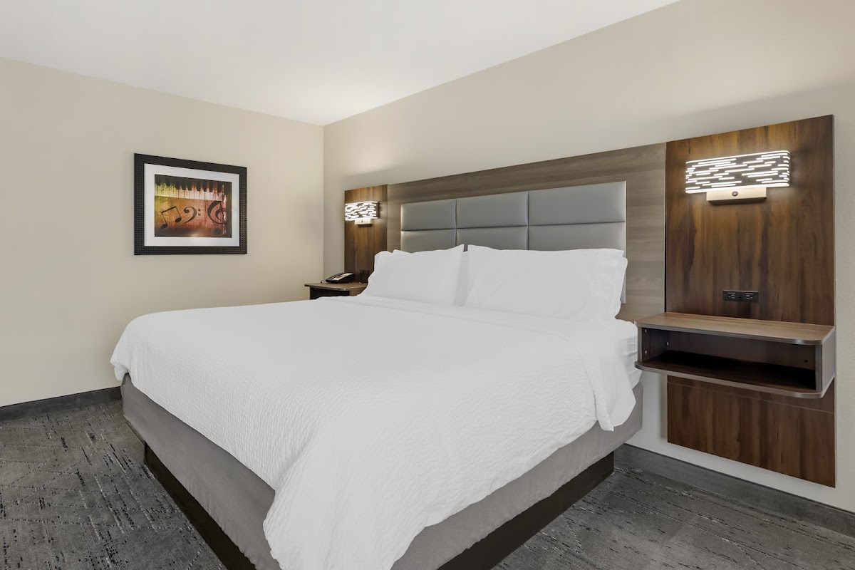 Holiday Inn Express & Suites Nashville Southeast - Antioch by IHG photo 2