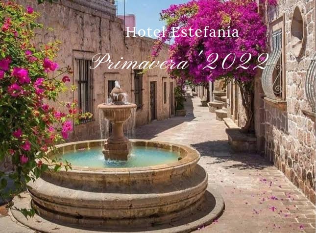 Hotel Estefania