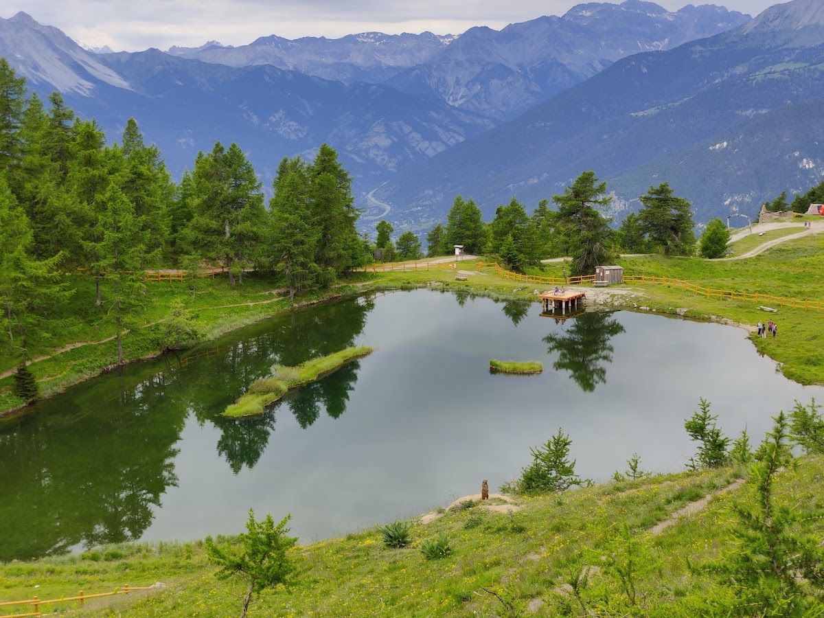 Parco Naturale del Gran Bosco di Salbertrand