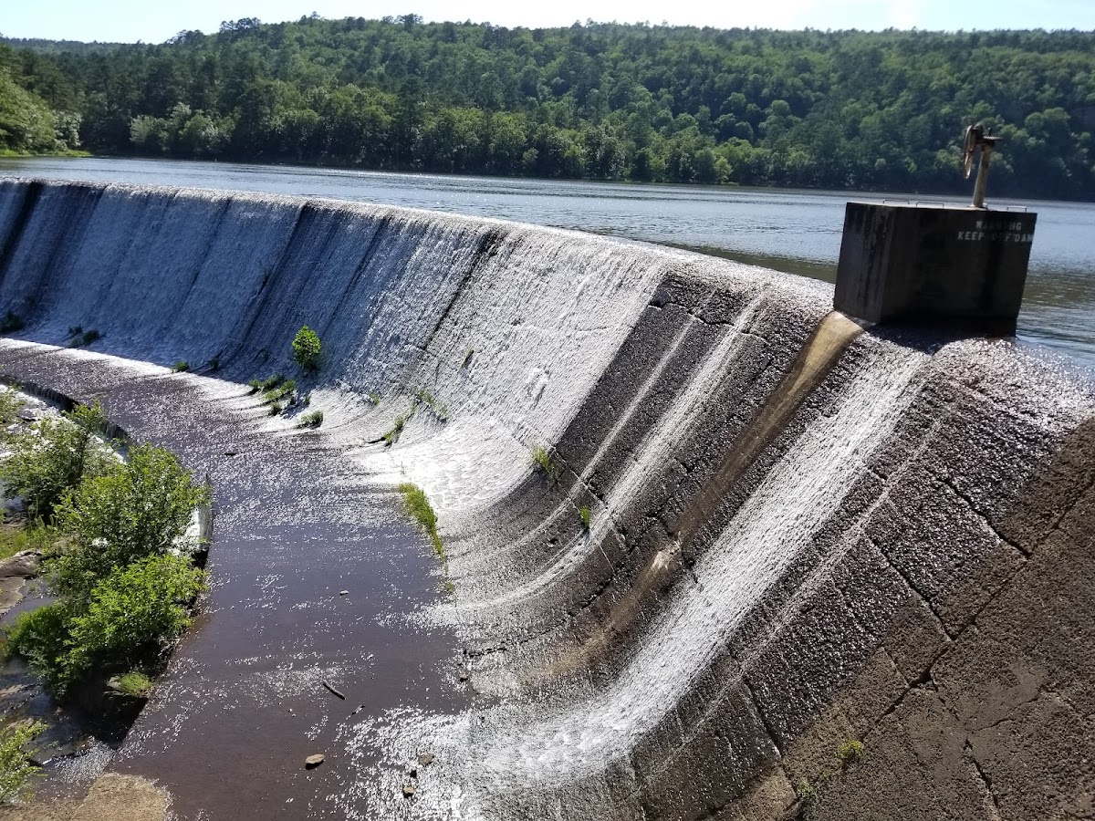 Lake Carlton