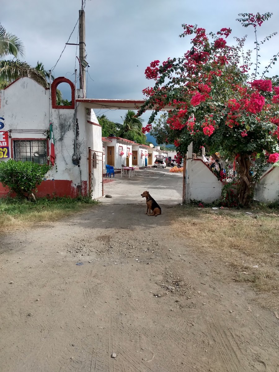 Bungalows Rosita