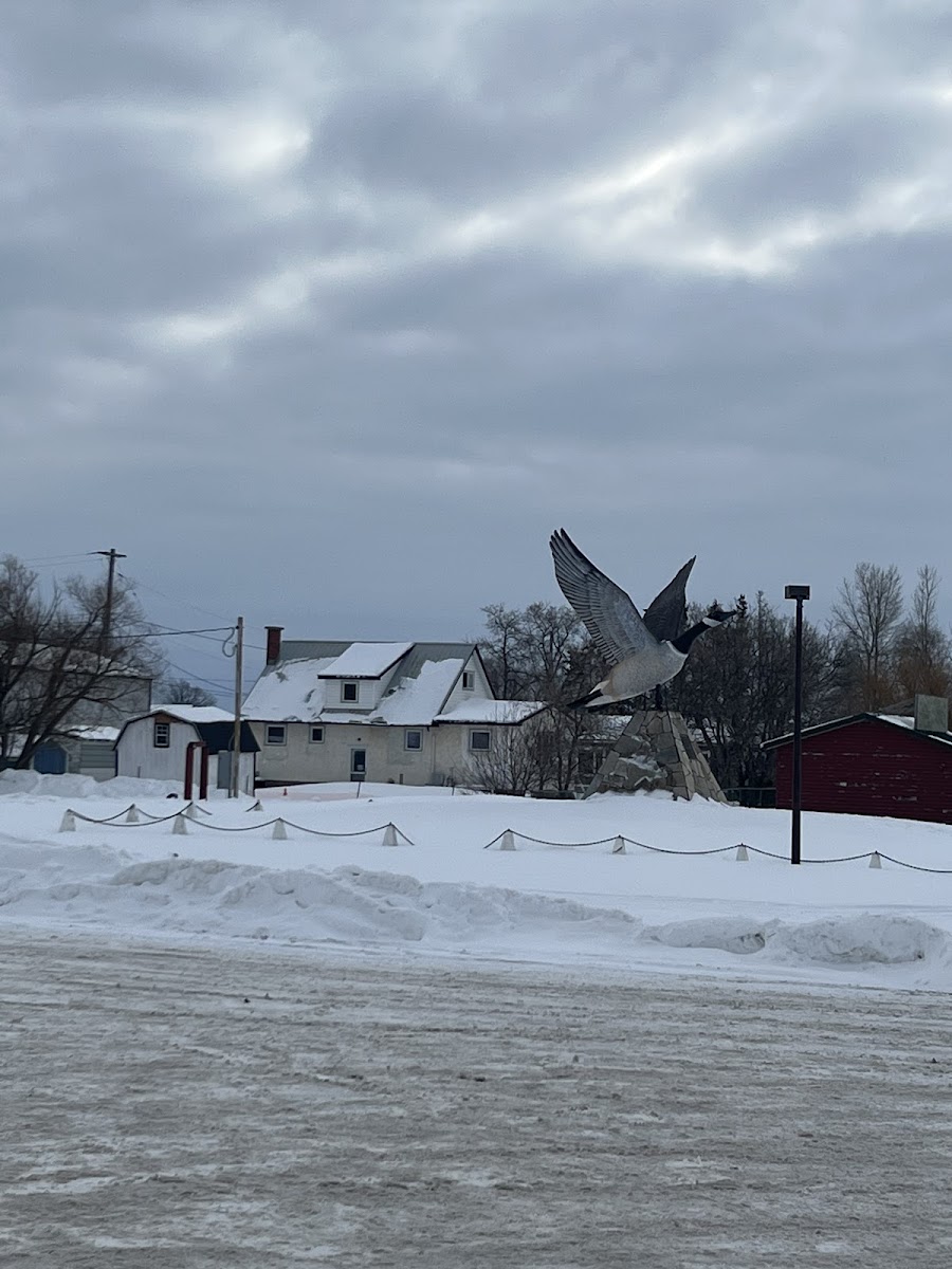 Lundar Motor Hotel photo 3