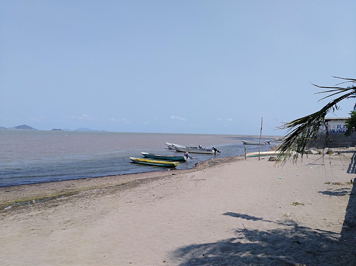 Playa Vicente