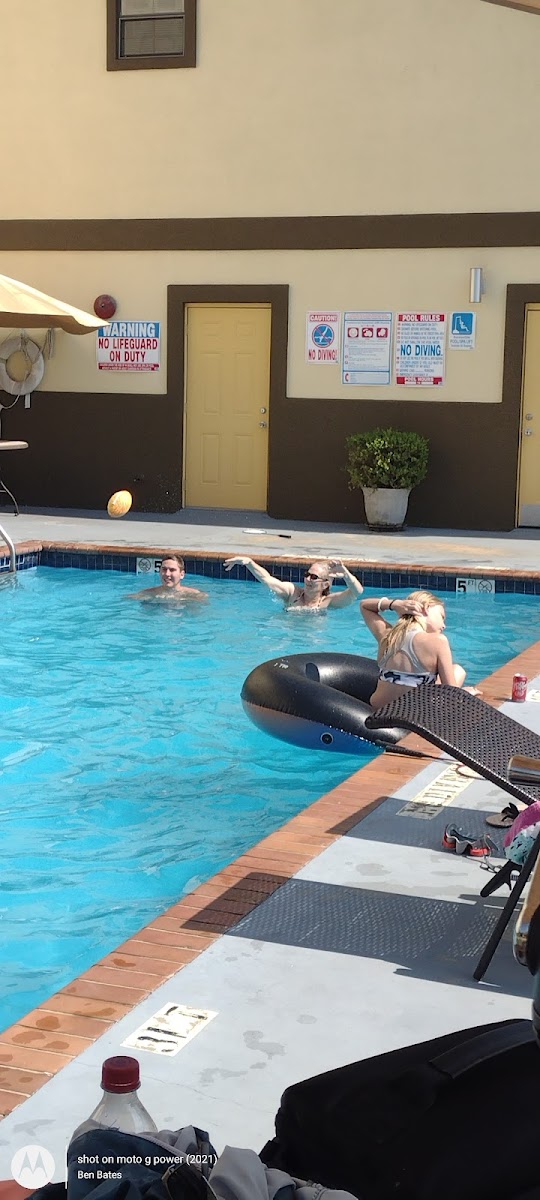 Best Western Pineywoods Inn photo 3