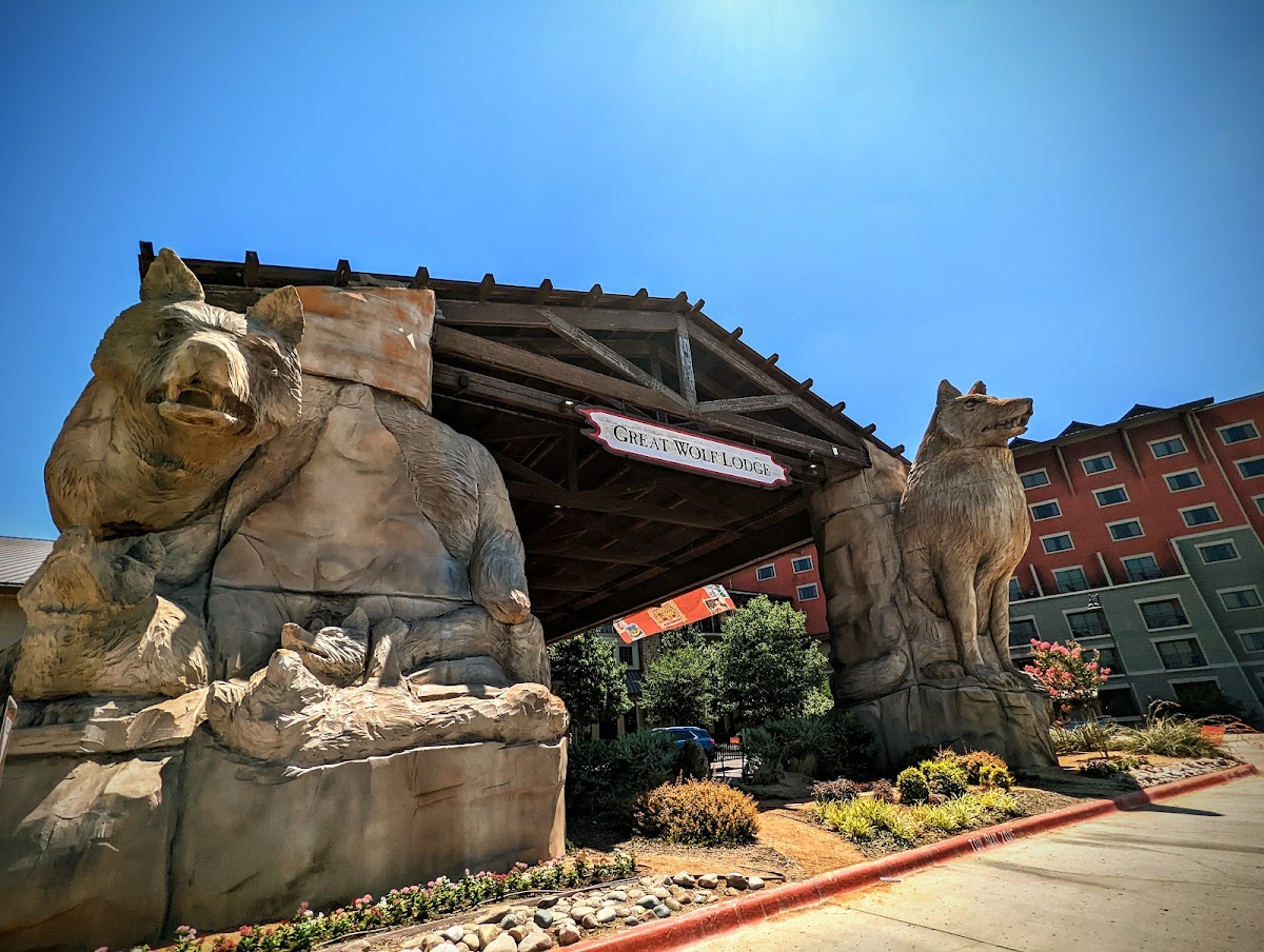 Great Wolf Lodge | Grapevine photo 3