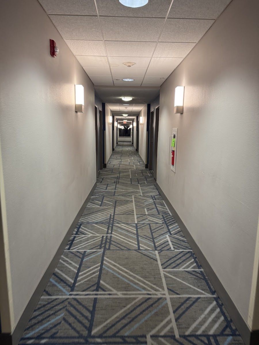 Holiday Inn Express & Suites Orlando-Ocoee East photo 3