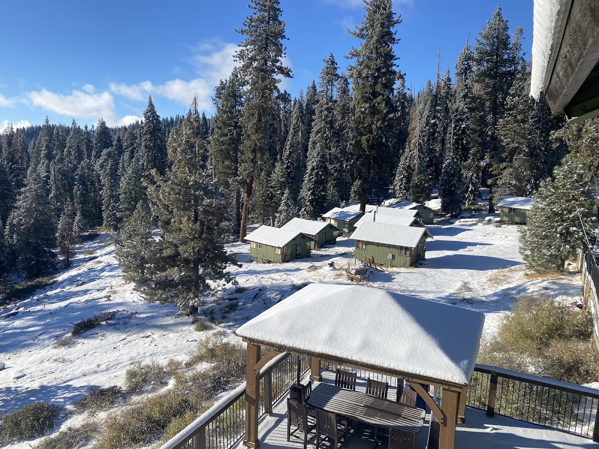 Montecito Sequoia Lodge photo 2