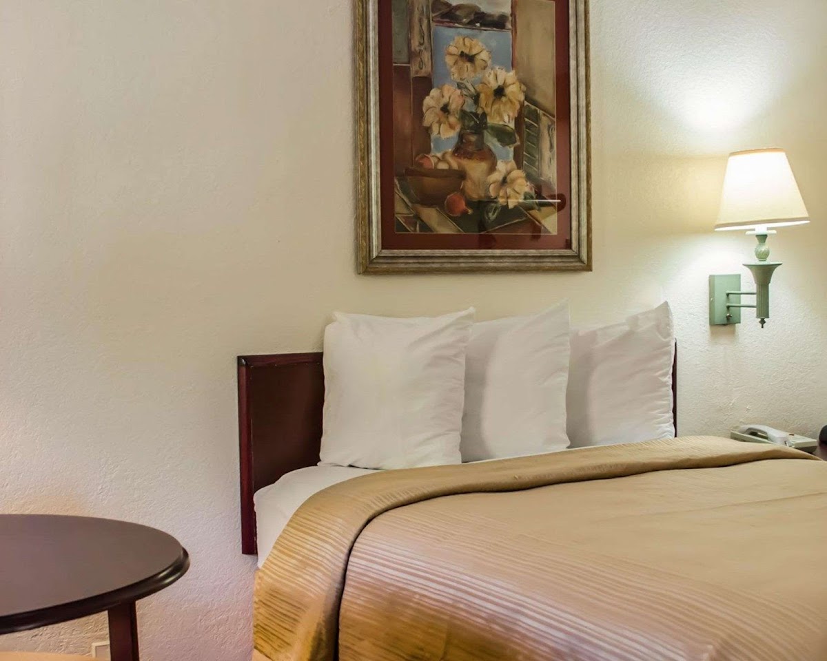 Quality Inn Crystal River photo 3