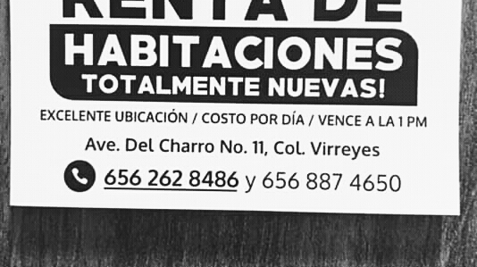 Renta de habitaciones(pequeño HOTEL) photo 3