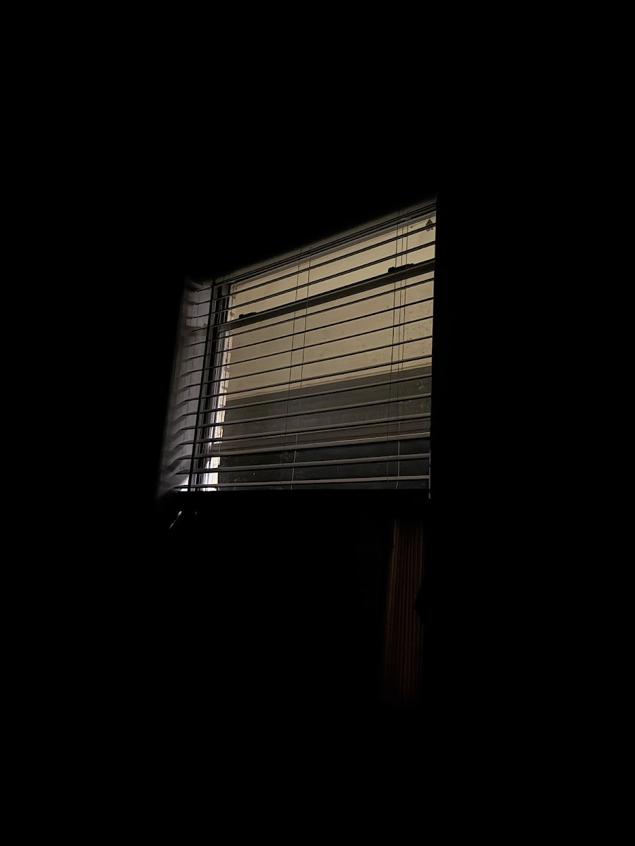 Tex-An Motel photo 3