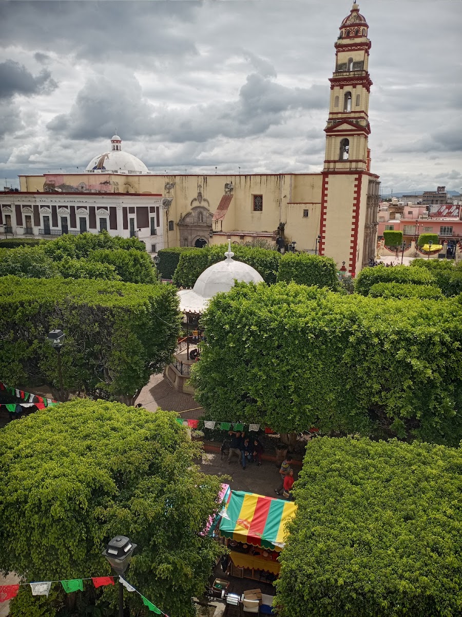 Jardín Principal