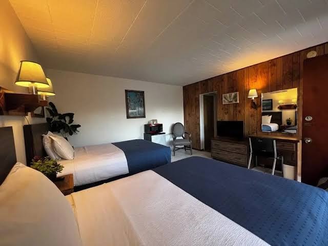 Nocturne Motel photo 2