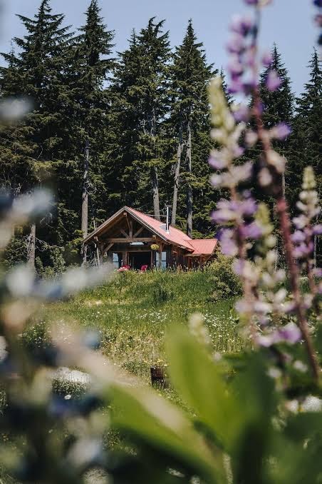Heather Mountain Lodge photo 3