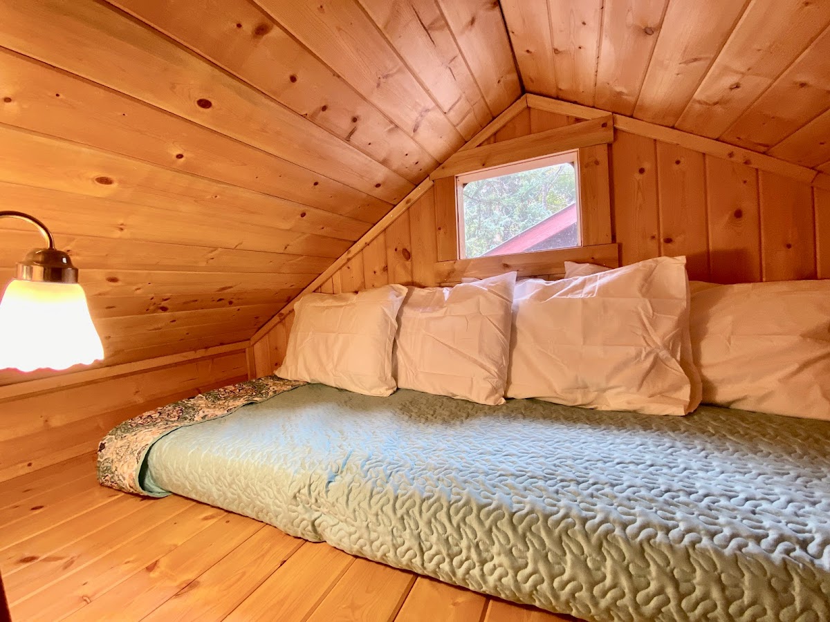 Wildflower Cabins photo 2