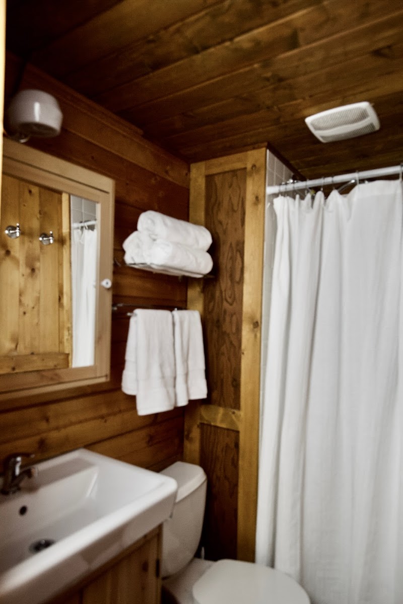 Wildflower Cabins photo 3
