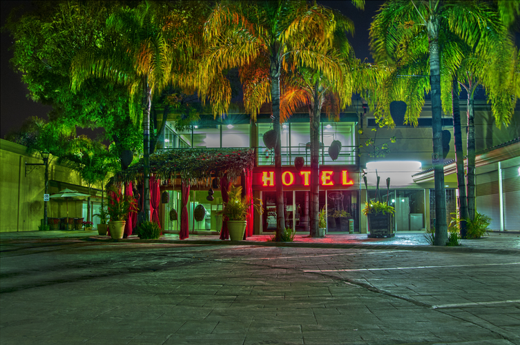 Hotel Paseo Palmas