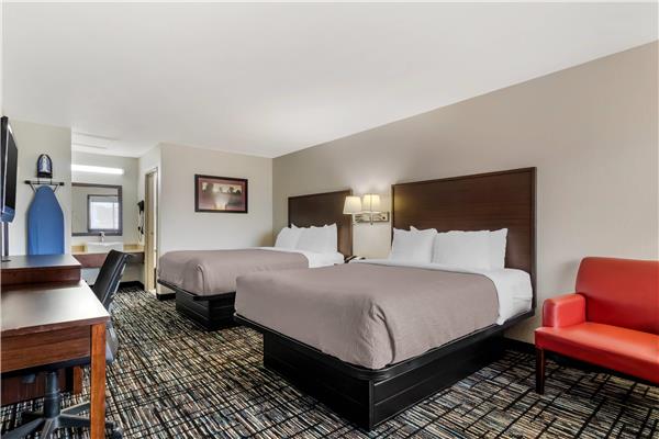 Quality Inn & Suites I-10 near Fiesta Texas photo 2