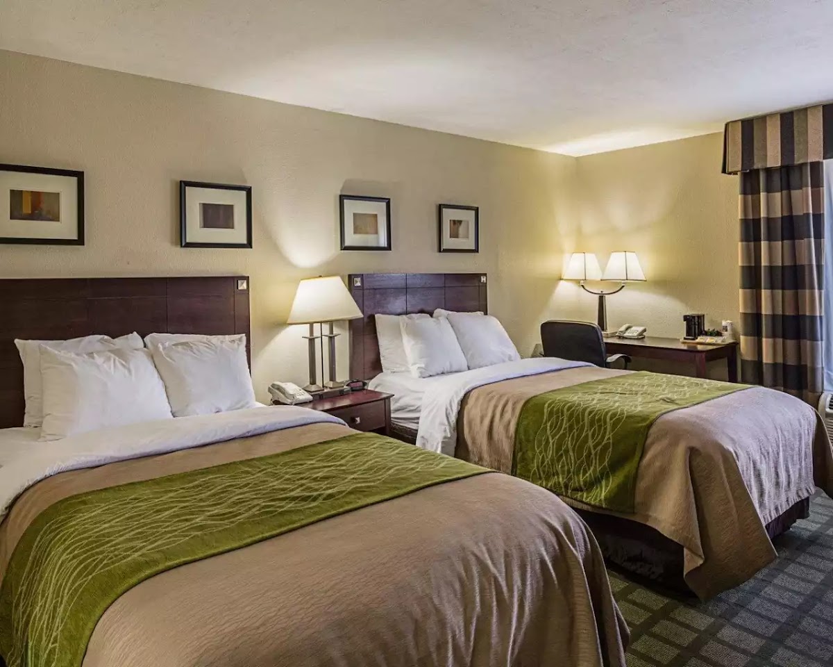 Comfort Inn Southwest Fwy at Westpark photo 3