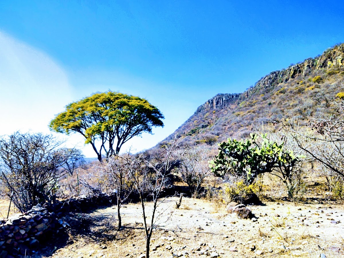 Subida al cerro del Caracol
