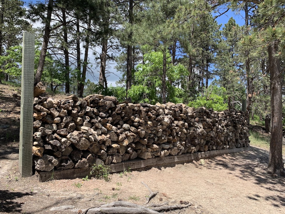 Petrified Forest of the Black Hills-Elk Creek Resort photo 3