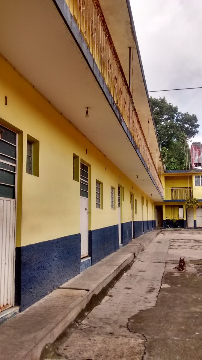 Hotel Lerdo