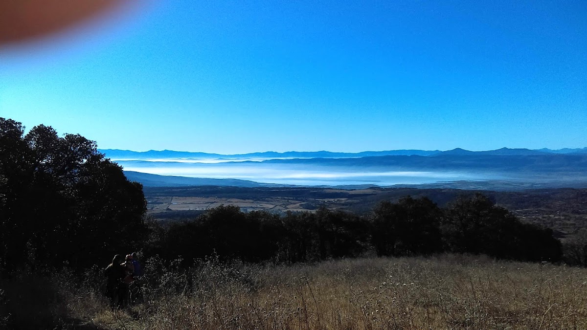 Area Natural protegida Cerro de los Amoles