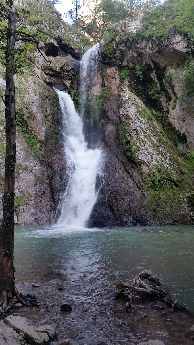 Cascada De Cerocahui