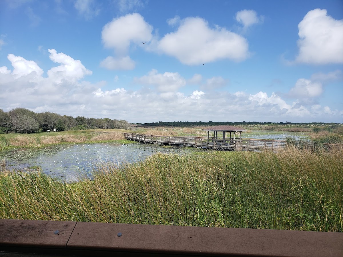 Brazoria National Wildlife Refuge