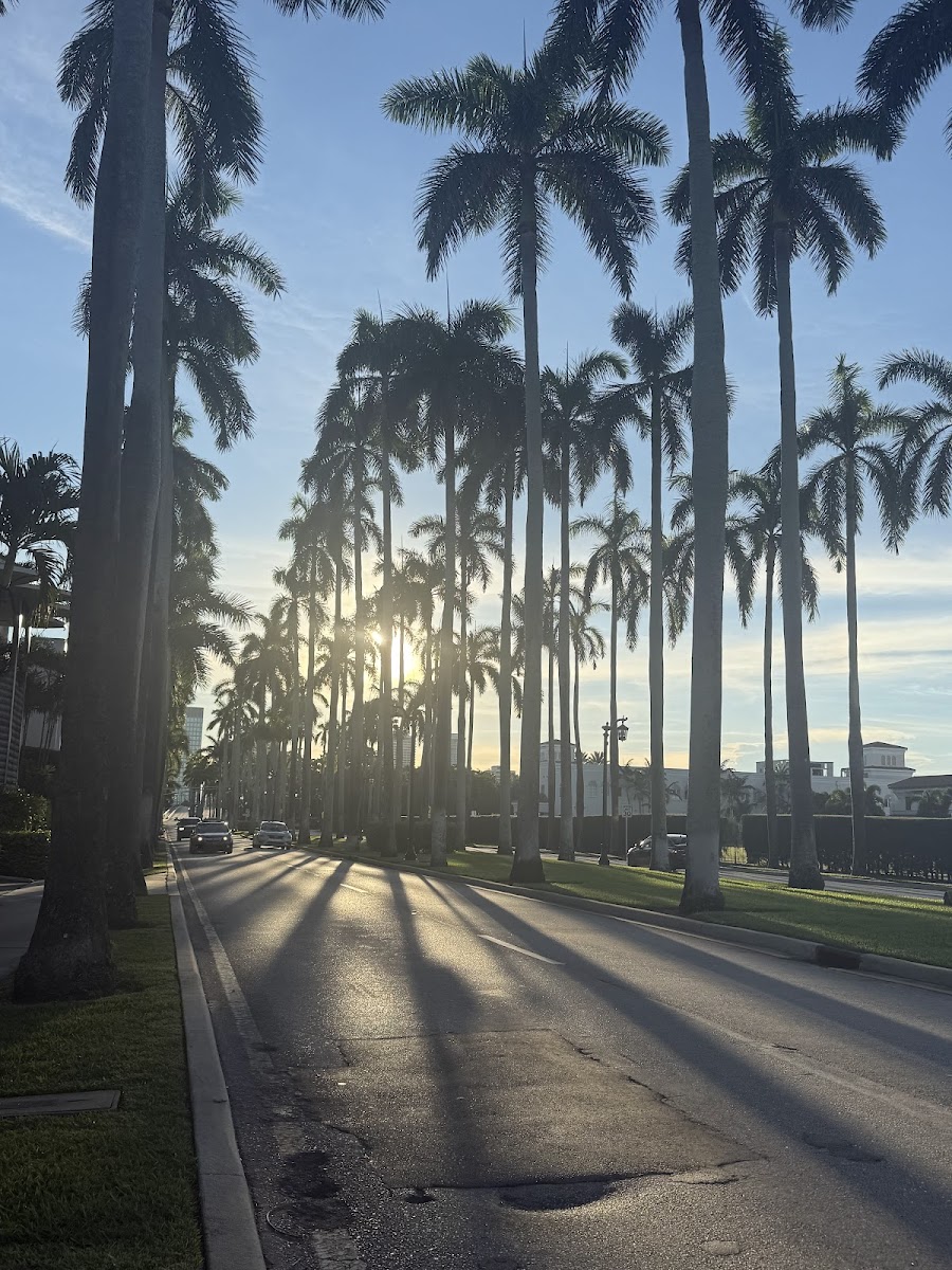 The Lofts On Clematis | Stay West Palm photo 3