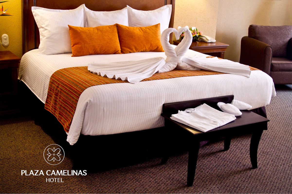Plaza Camelinas Hotel photo 2
