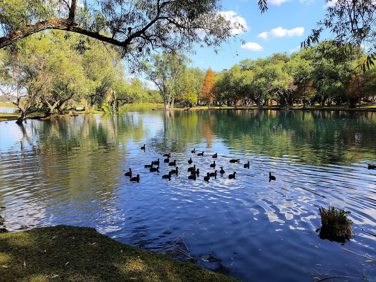 Tzacapo Tacanendam Ecological Park