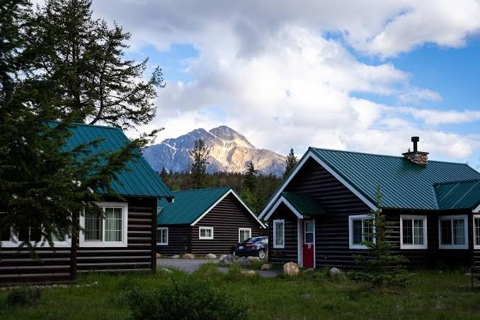 Pine Bungalows Resort photo 3