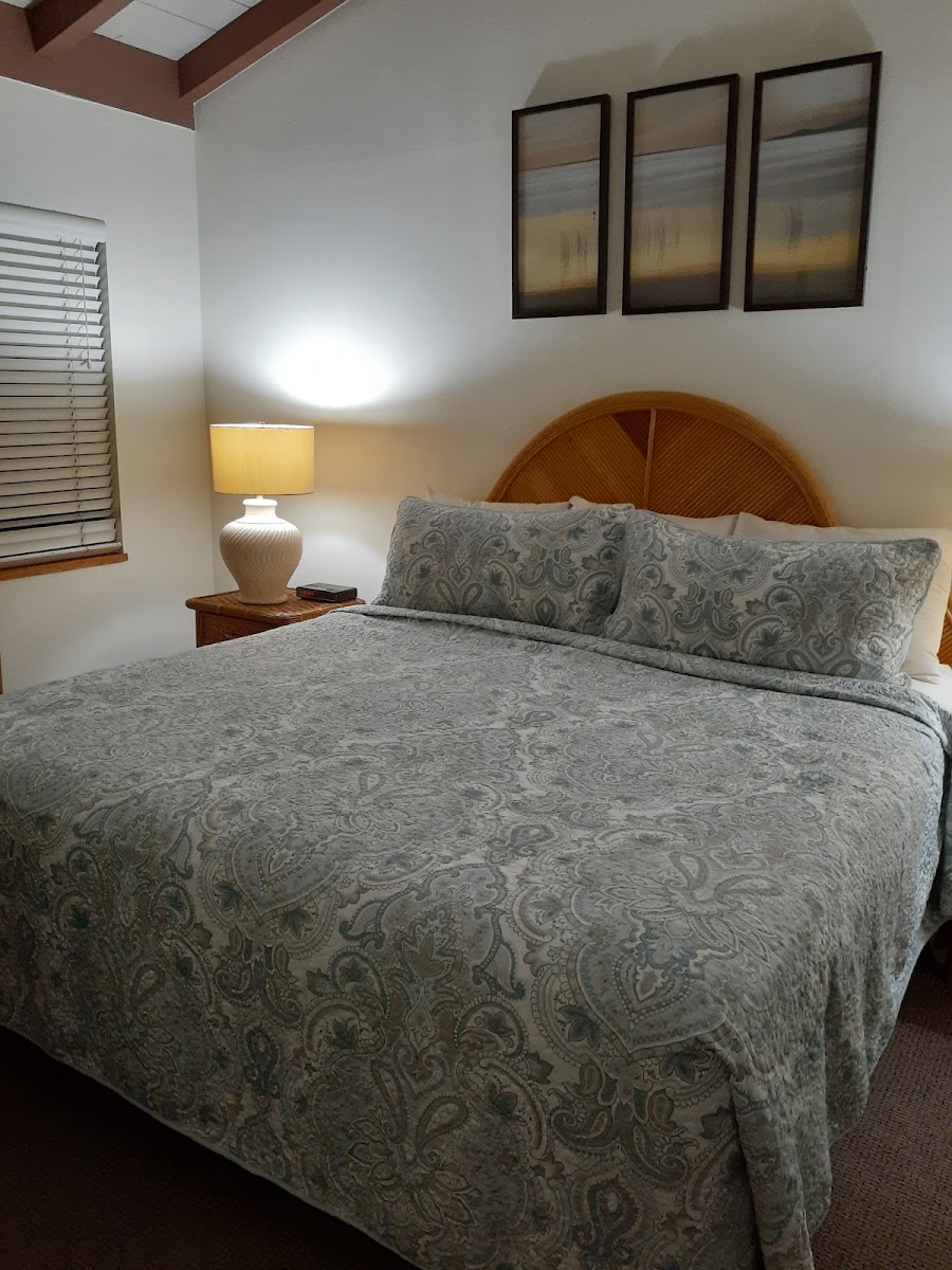 Sand Dune Shores Resort photo 2