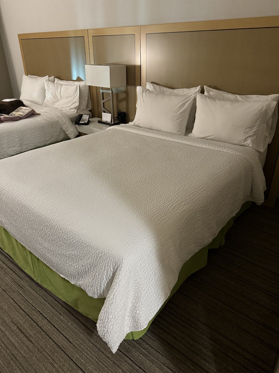 Holiday Inn Express & Suites Warner Robins North West photo 3