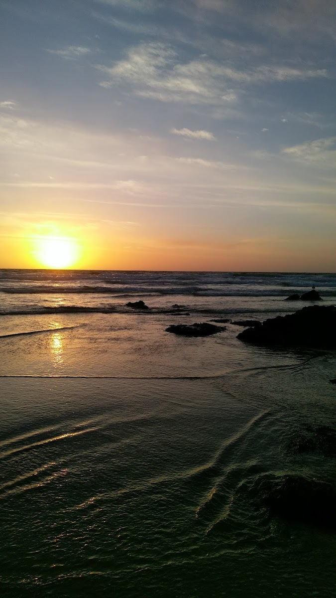 Coastline Court photo 3