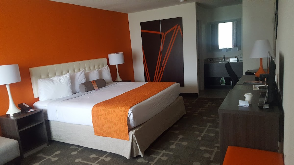 Admiral Motor Inn photo 2