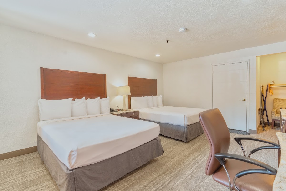 The Yosemite Inn photo 2