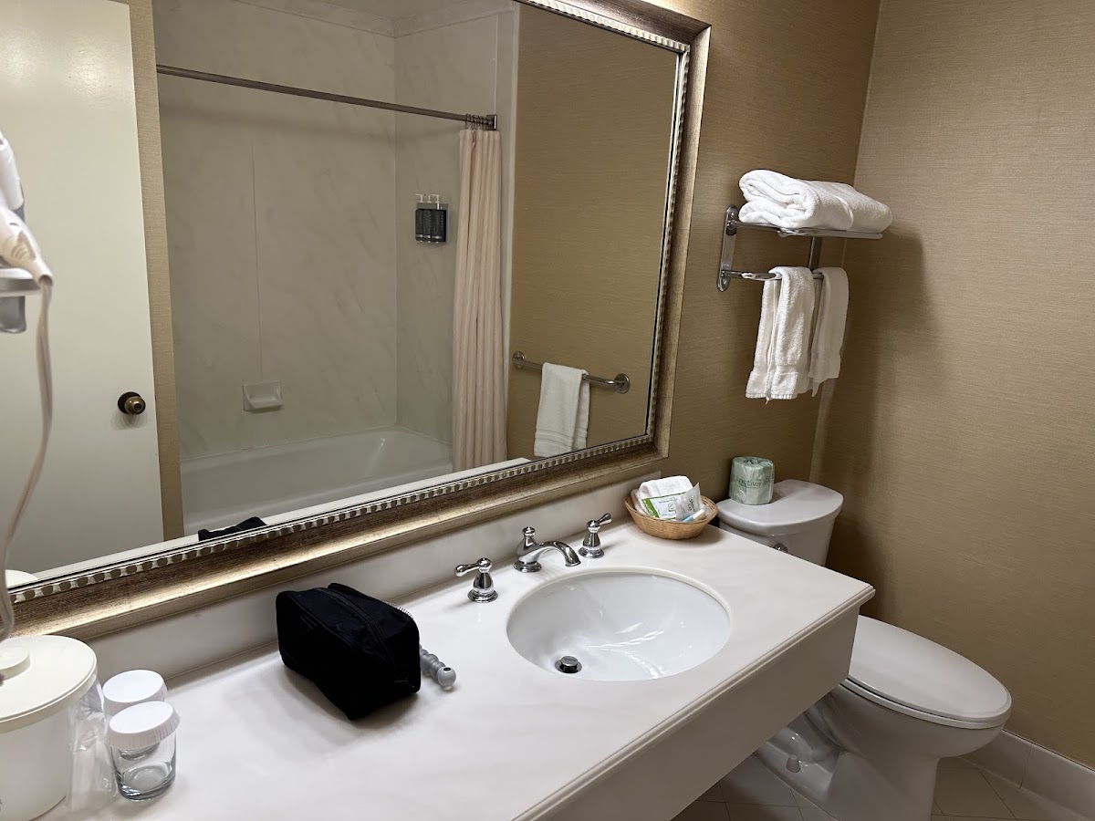 Cow Hollow Motor Inn photo 3